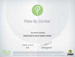 13 Plate by Zumba